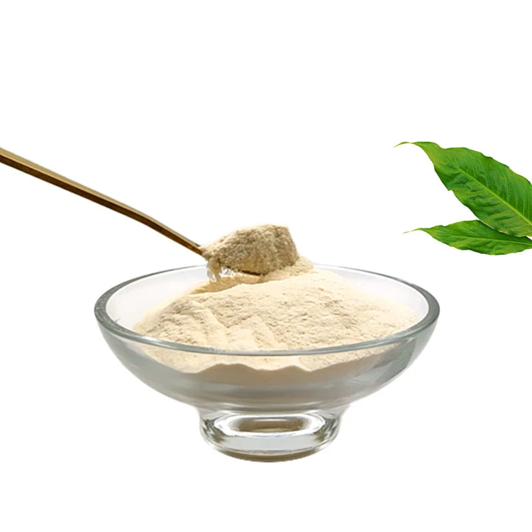 Xanthan Gum for Food Thickening/Feed Industry Food Additives Manufacturer