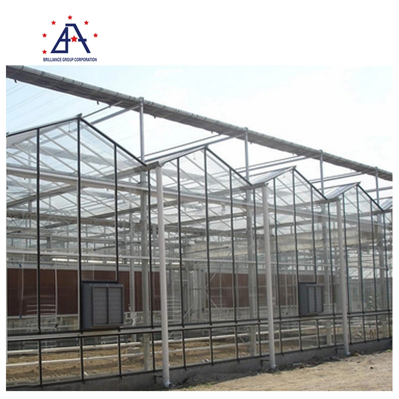 Hot Sales Agriculture Greenhouse Aluminium Profile