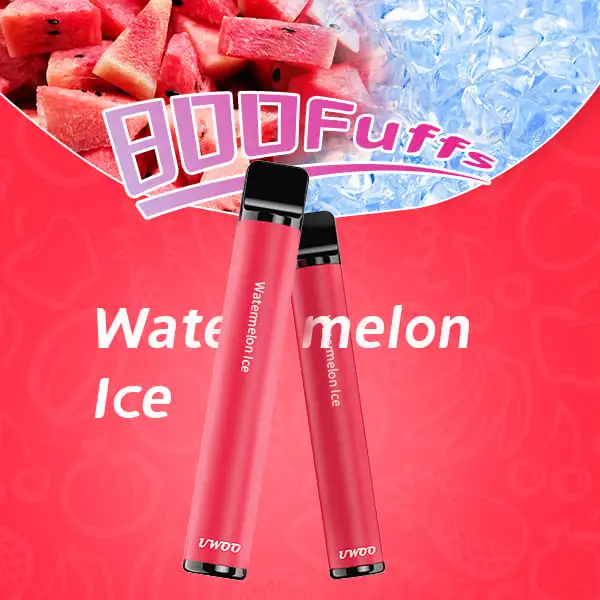 Newest Fruit Flavor Disposable/Chargeable Customizable Logo 800puffs Vape Pen