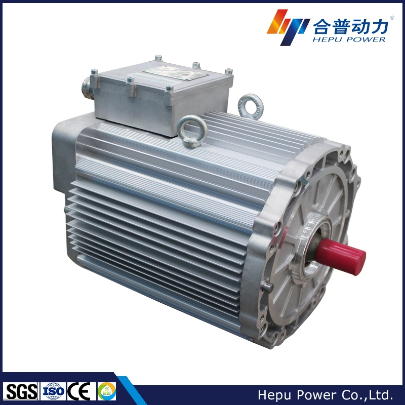 5kw 60V Electric Permanent Magnet Motor Three Wheeler Motor for L5 Category