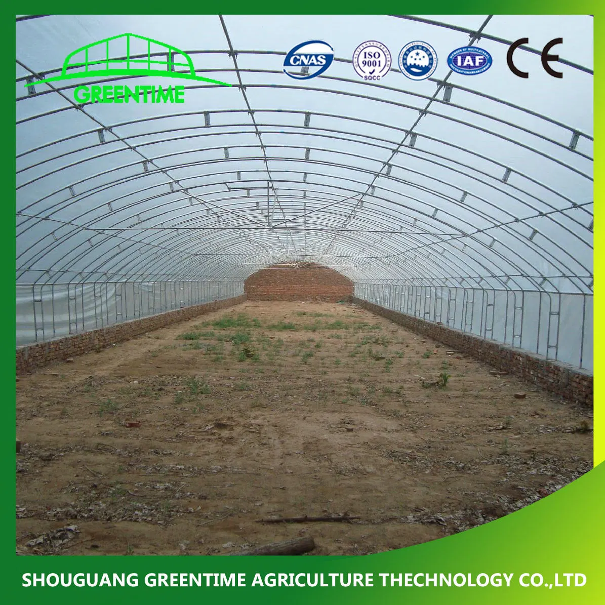 Agrícola/Comercial Single Span/túnel barato/película plástica gótica Greenhouse de Hydroponic para tomates Pepino lechuga