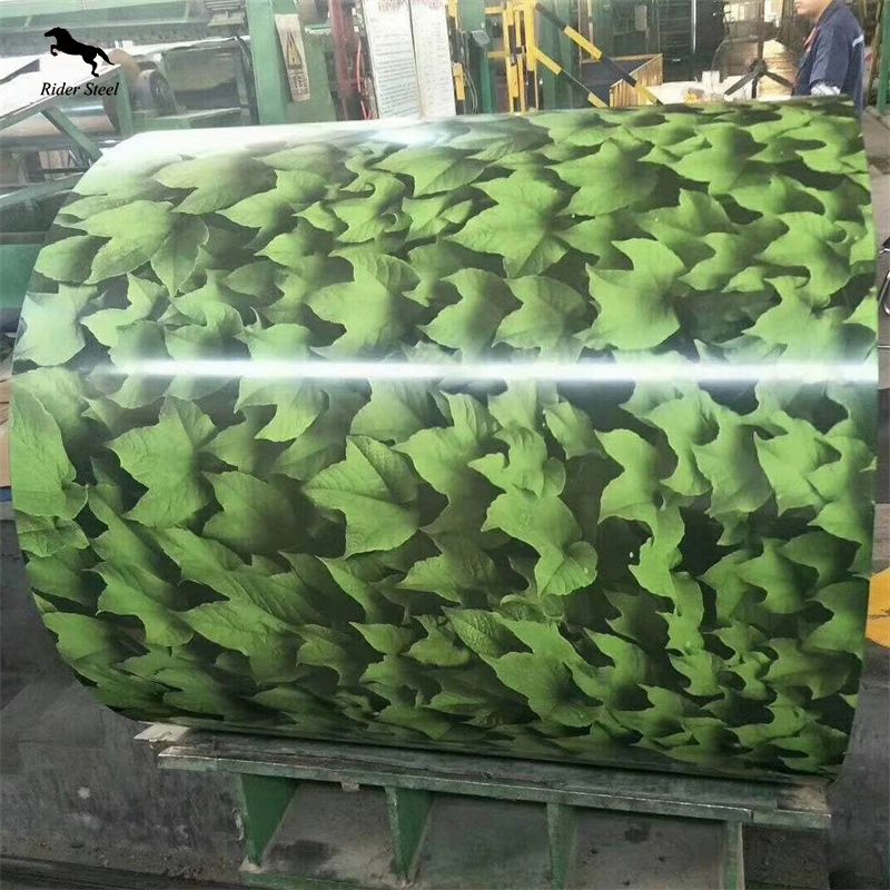 750, 900, 1000, 1220, 1250 mm Hot vender materiales de construcción de las bobinas del techo de acero recubierto de zinc