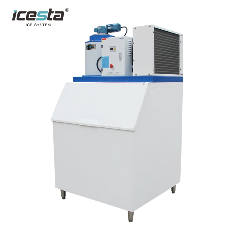 Beautiful Design 500kg 1ton Flake Ice Machine Plus Ice Storage Bin