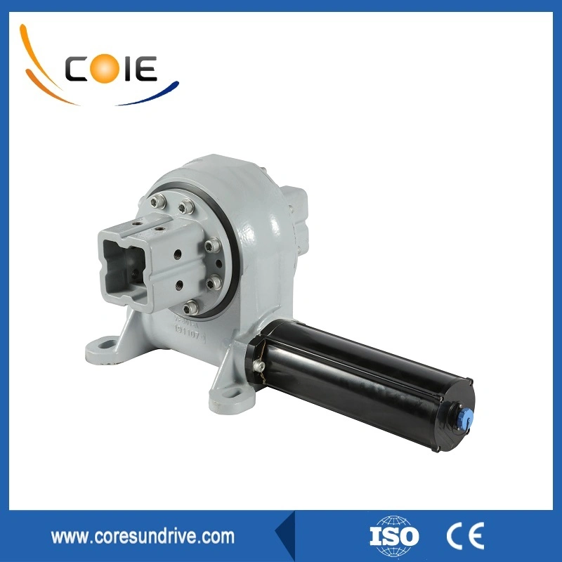 Vertical Worm Gear Drive Motor