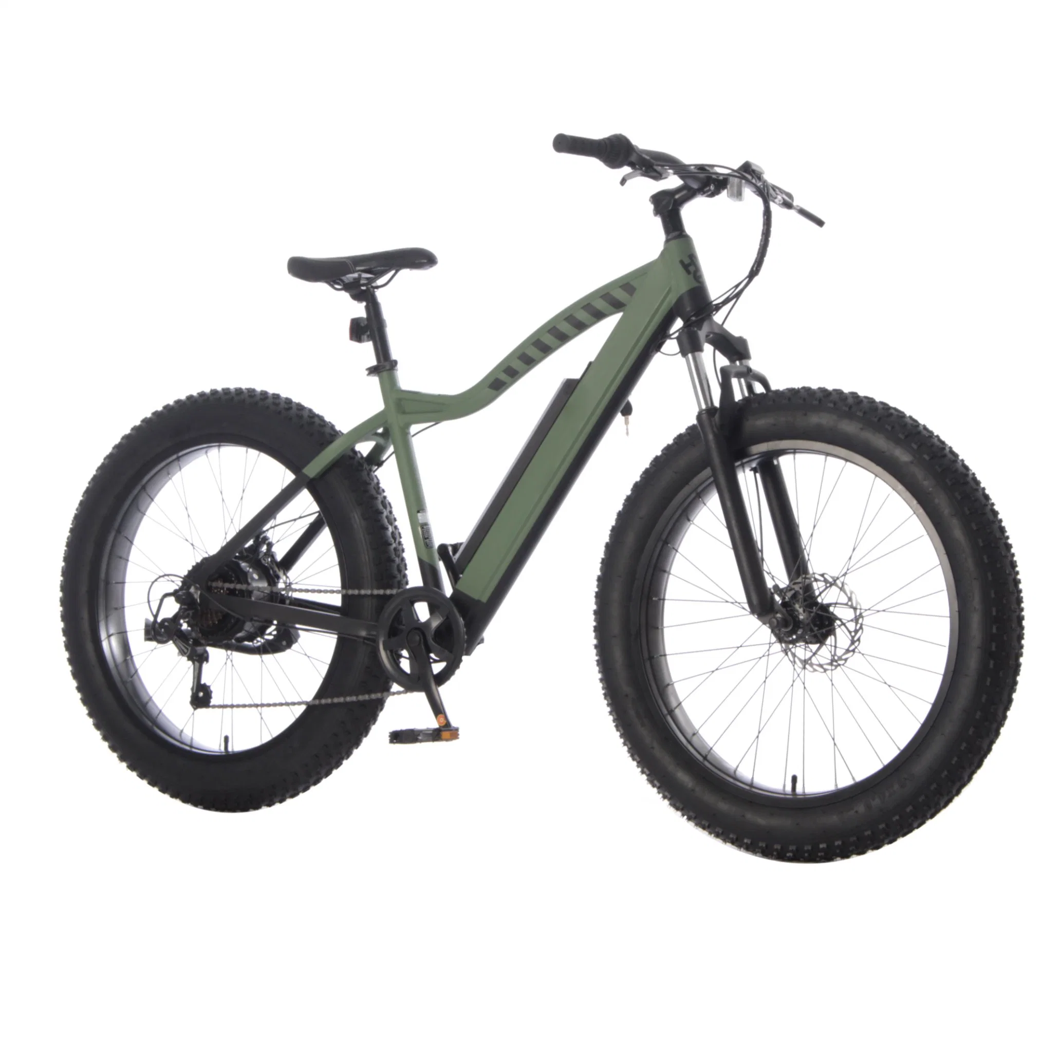 26 Inch Best Design Cheap Electric Fat Bike off Road with Front Fork Suspension Electric Mountain Dirt Bike