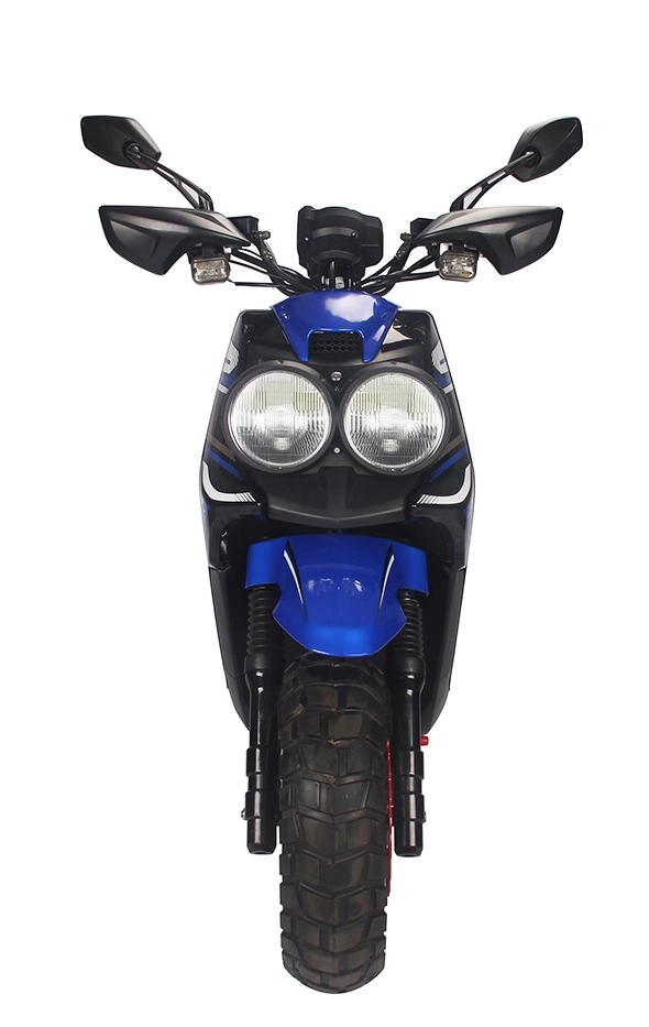 1000W leistungsstarke Erwachsene Elektro-Motorrad Fahrrad / Elektro-Scooter / Elektro-Motorrad-Scooter (BWS)
