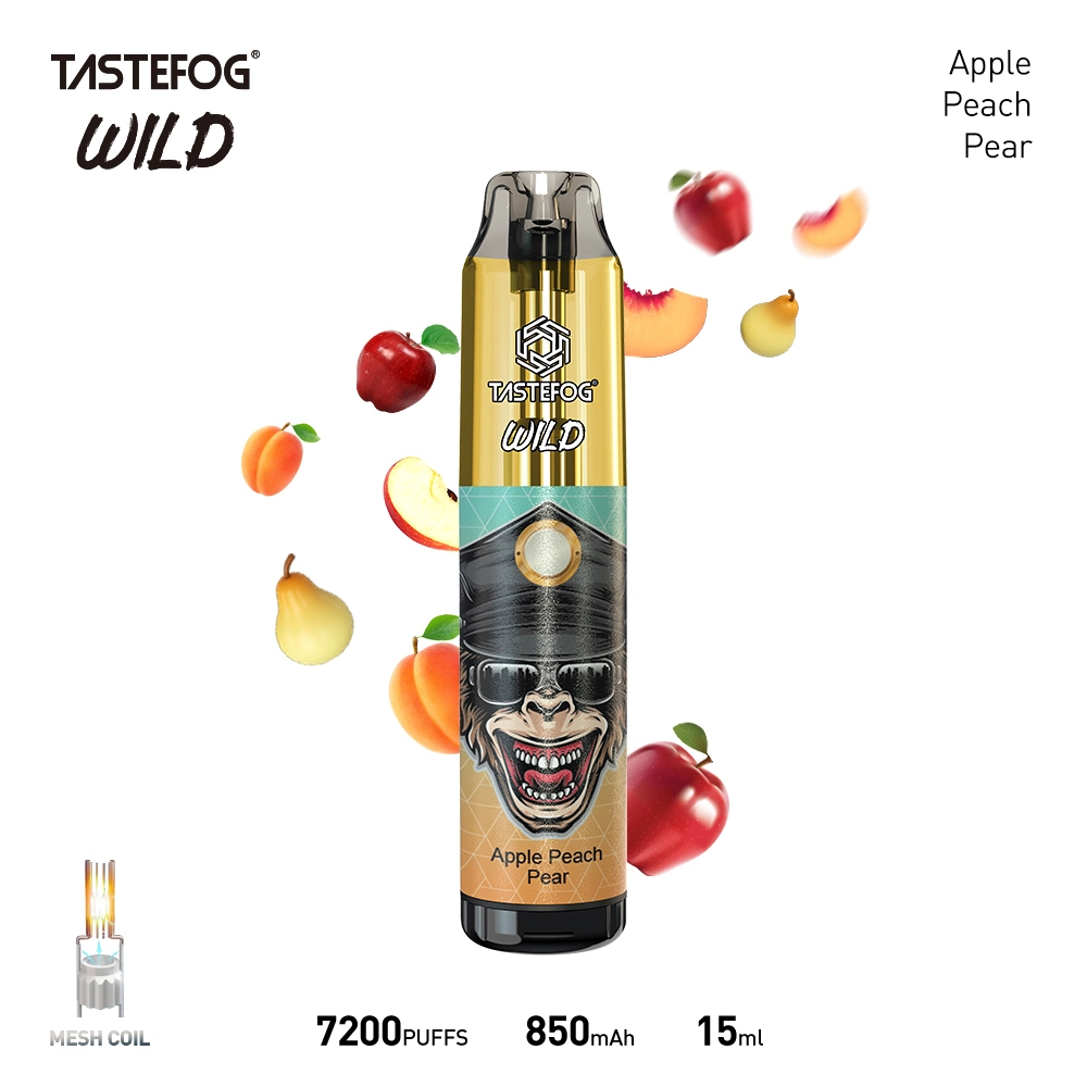 Tastefog Wild 7000 Puffs Vape 850mAh Typ-C Wiederaufladbarer Mini-Einwegbeutel E-Zigarette