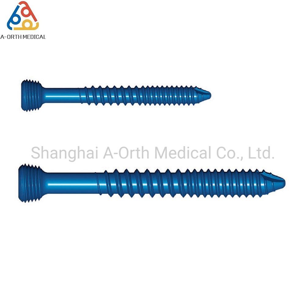 مسمار قفل العظام الحيوي للعظام والجراحات الطبية التيتانيوم الغرسة