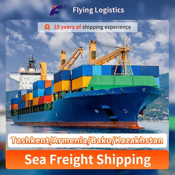 Forwarder International From China Sea Freight Logistics to Tashkent/Armenia/Baku/Kazakhstan Shipping Agents Agents