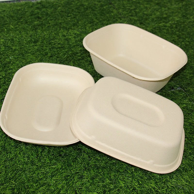 1300ml biodégradable personnalisé la bagasse 850ml Clamshell contenants alimentaires Food Box Bio à emporter de la charnière à usage unique Boîte à lunch