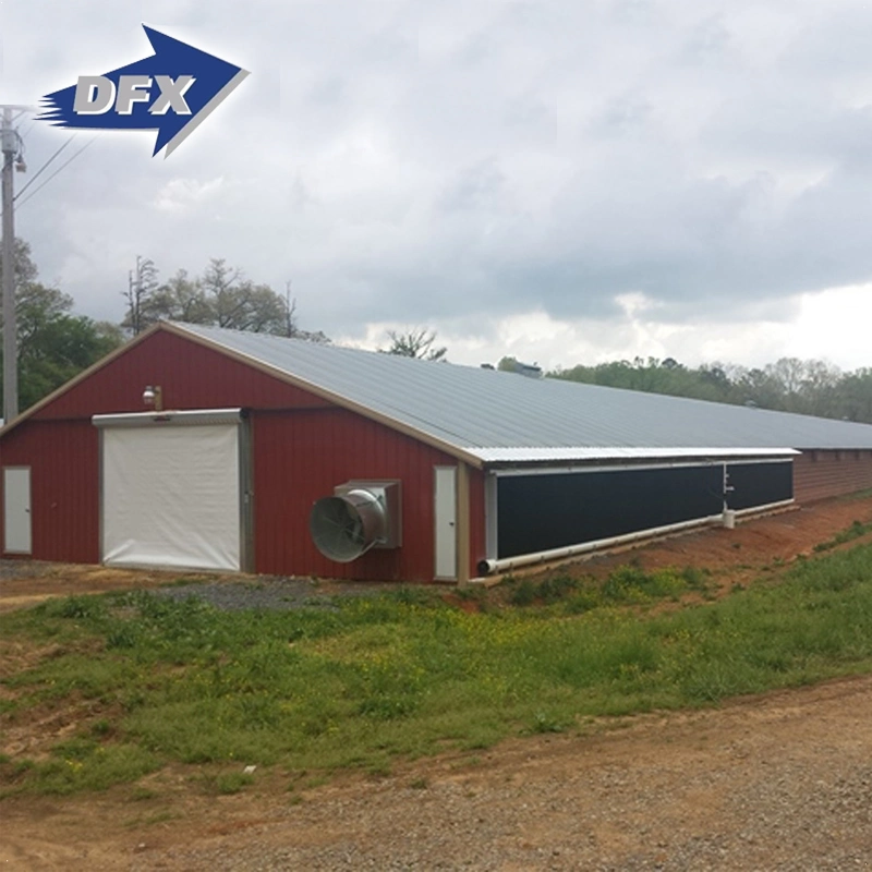 Chicken Use Steel Structure Material Warehouse Building in Poultry Farm