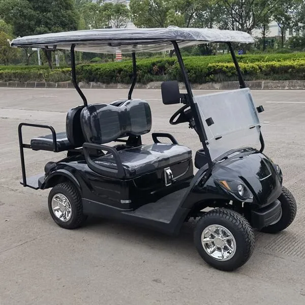 Chinese Factory Price 4 6 Seats Gas Vintage Car Classic Car Golf Cart Club Car for Sale