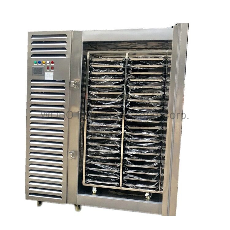 IQF Blast Quick Freezer Air Cooling for Fruit Vegetables