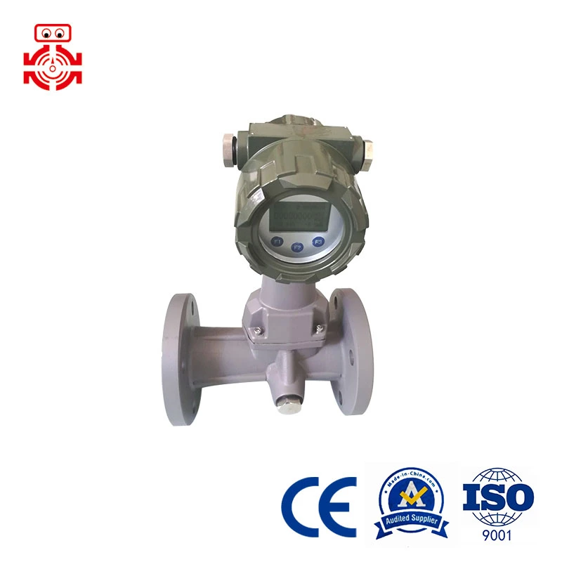 Hot Sale CE 24VDC Battery Dual Power Precession Vortex Flow Meter, Measuring Accuracy 0.5%, to Meet The Site Operating Conditions Flow High Accuracy Wide Range