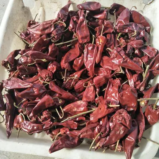 Hersteller New Crop Dehydriert Peking Red Chili