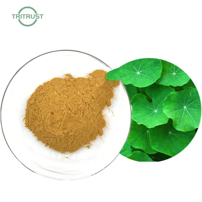 475-83-2 استخراج الماء يفقد الوزن Lotus Leaf RATIO استخراج اللوتس استخراج الأوراق النشيفيرين