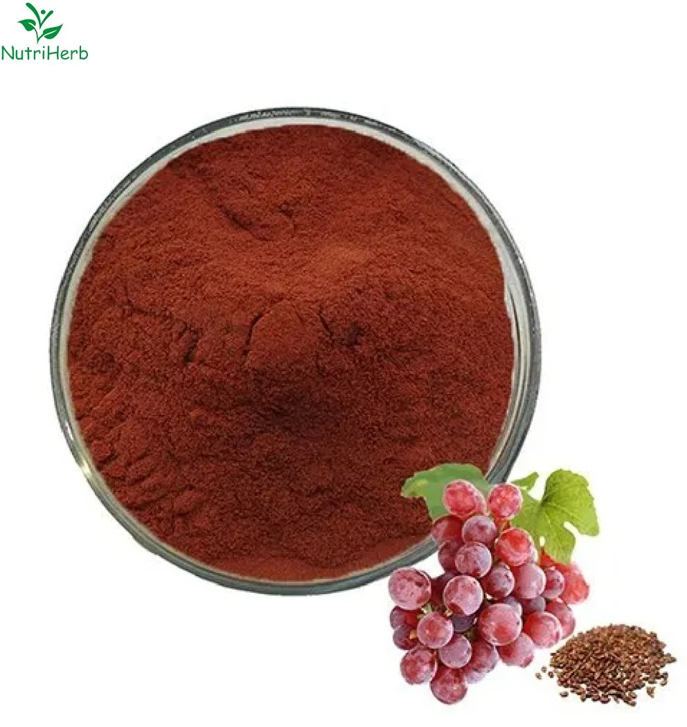 High Quality Proanthocyanidin 95% Powder Grape Seed Extract