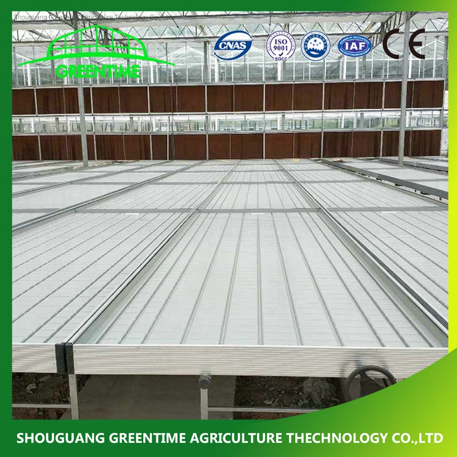 4X8' Movable Greenhouse Rolling Bench Ebb and Flood ABS Tray for Sale