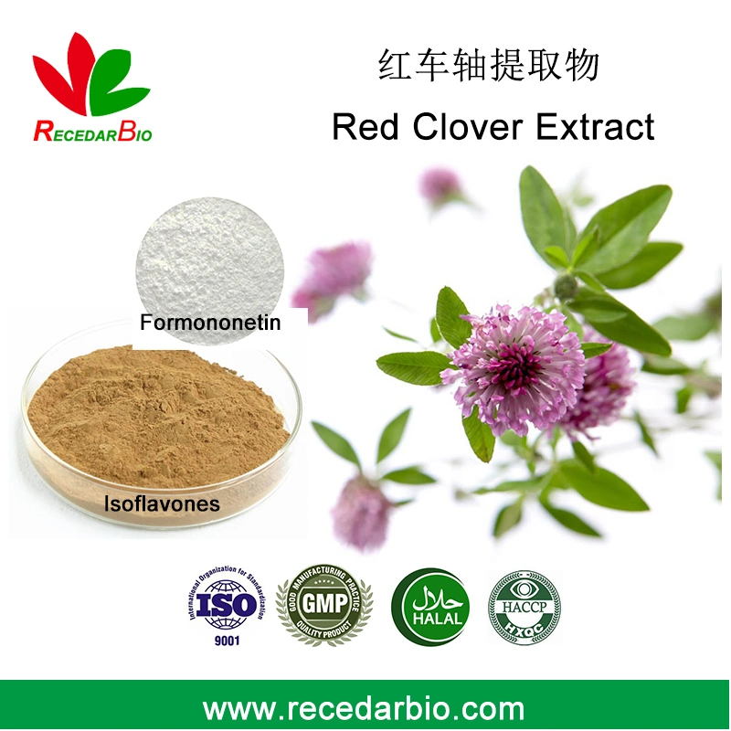 Red Clover Flower Extract Powder 2.5% Isoflavones