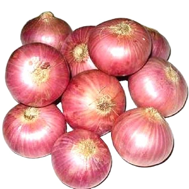 Chinese Frozen Fresh Red Yellow Green White Onion Vegetables Wholesale