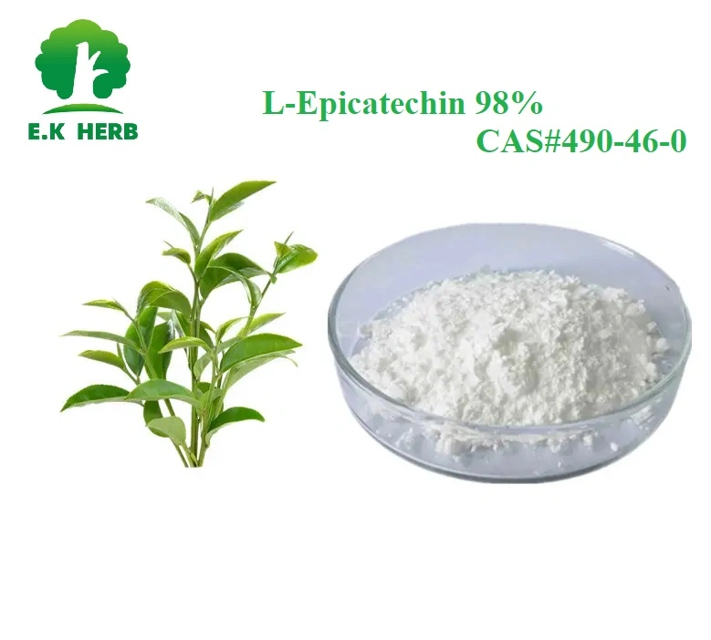 E. hierba K 100% Natural extracto de té verde Epicatechin el 98% CE para el músculo Builder CAS 490-46-0 la catequina, el 98% CAS 7295-85-4 el 98% de EGCG CAS 989-51-5 Extracto de té verde