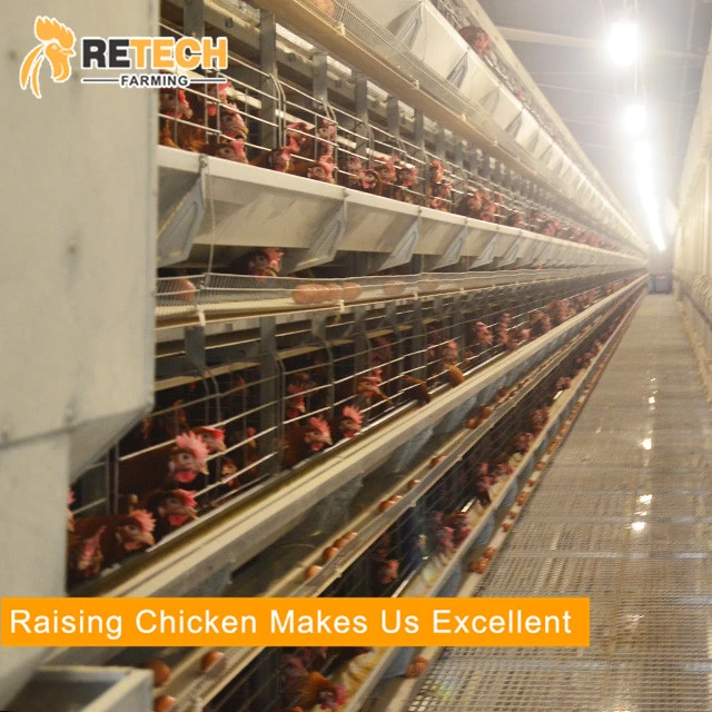 Egg Layer Poultry Farm Shed Equipment Chicken Battery Cages for Sale