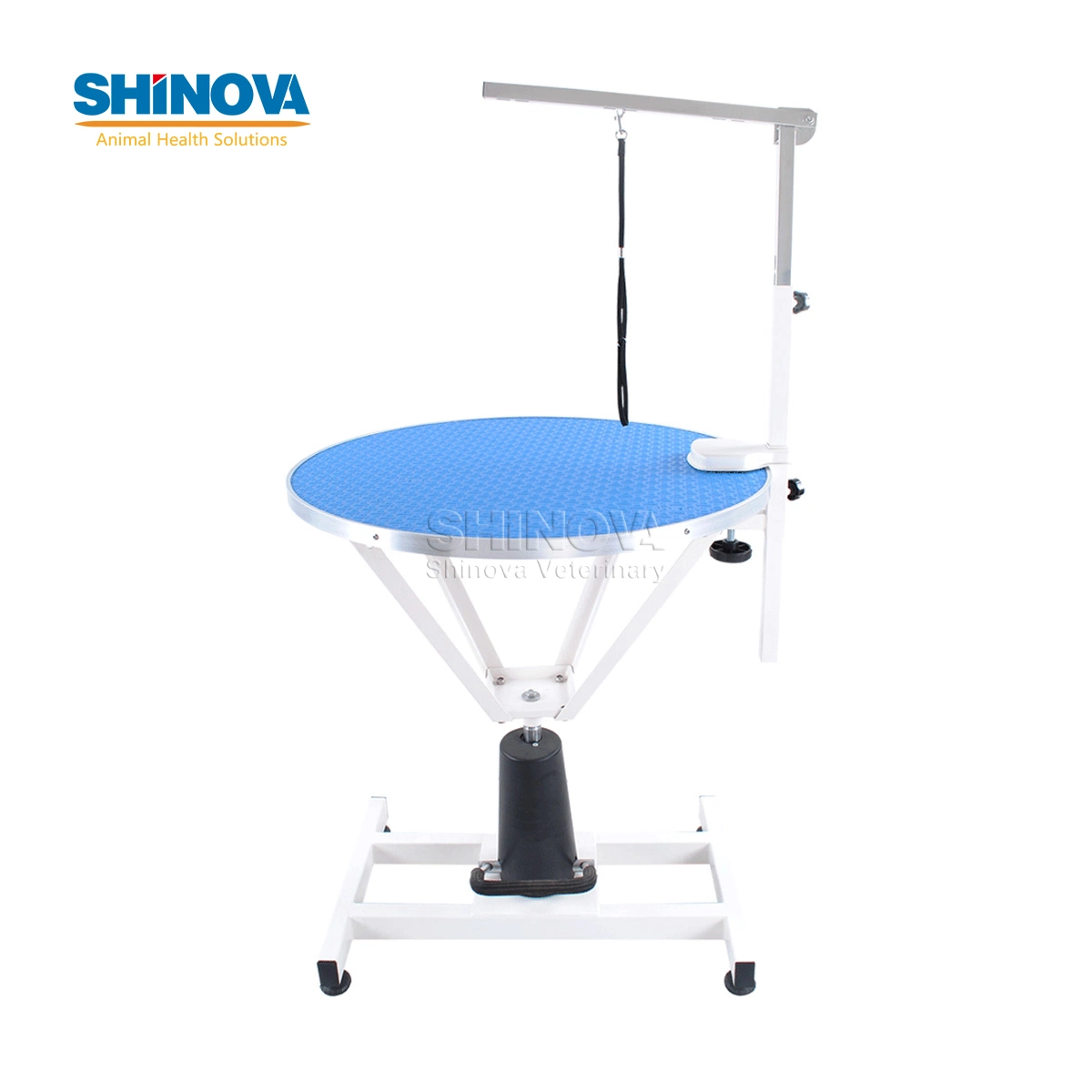 Pet Grooming Hospital Care Salon Dog Grooming Table Equipment for Pets