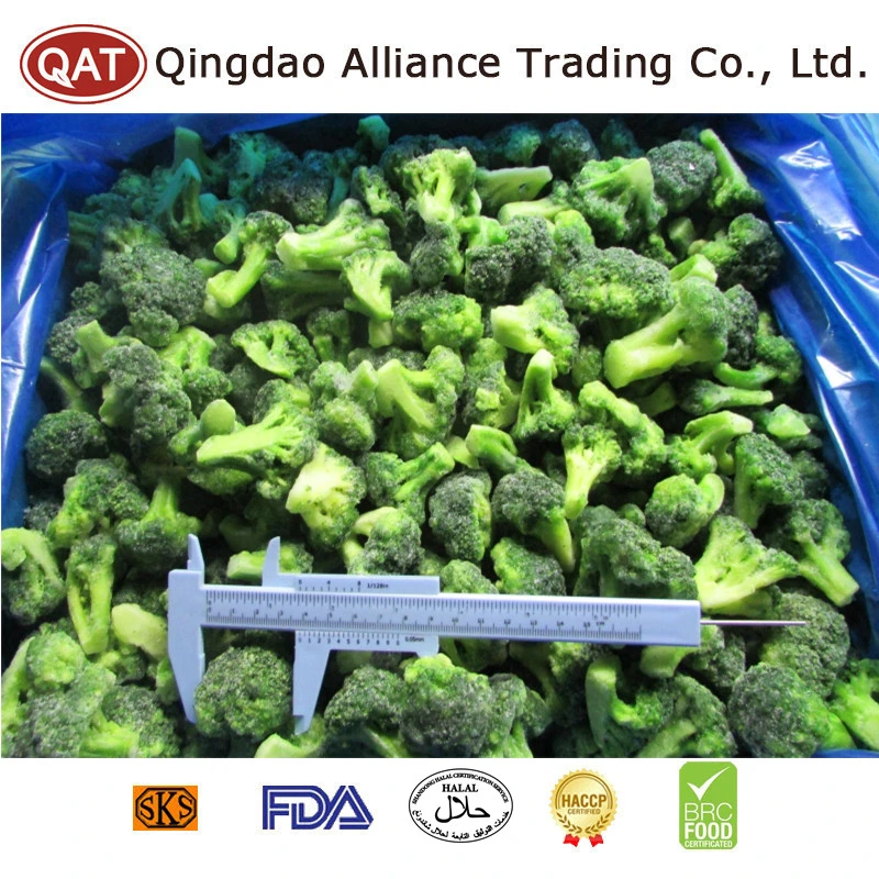 Factory Supplier New Crop Vegetables Frozen Broccoli Cut 3-5 Cm IQF Organic Broccoli Florets with FDA Kosher Halal