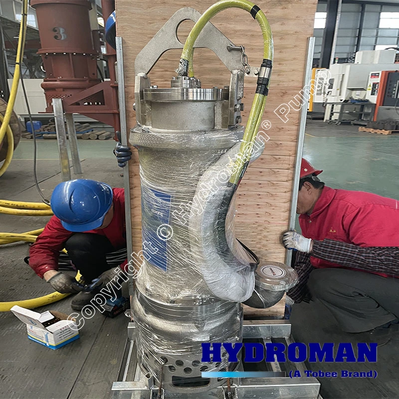 Submersible Stainless Steel Pump of Tailing Dump for Flatation Waste