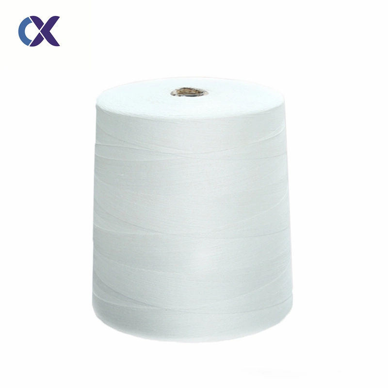 RAW White SD Gewachst 100% Polyester gesponnene Garn