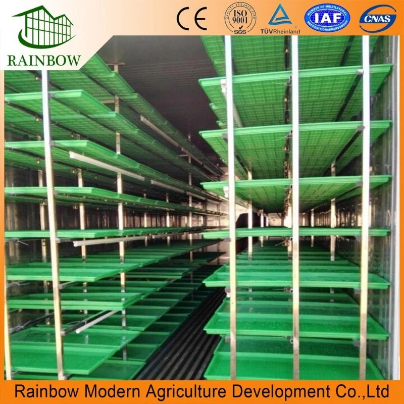 Vertical Hydroponic Container Greenhouse for Vegetables Hydroponic Fodder System