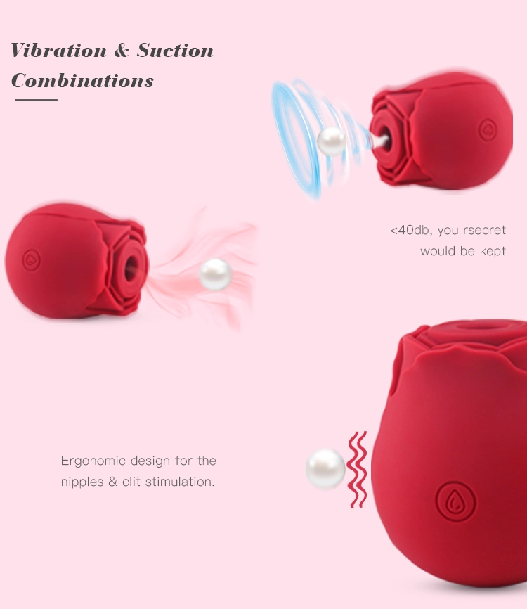 Wirelessrose Vibrator Sex Toy Rechargeable Clitoral G Spot Vibrator Waterproof Couples Vibrator with Powerful Vibrations