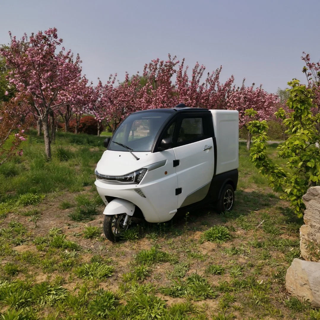 EEC Approved Lithium Batterie elektrische Lieferung drei Rad LKW Moped Frachtfahrzeug mit geschlossener Kabine für Fast Food-Lieferung