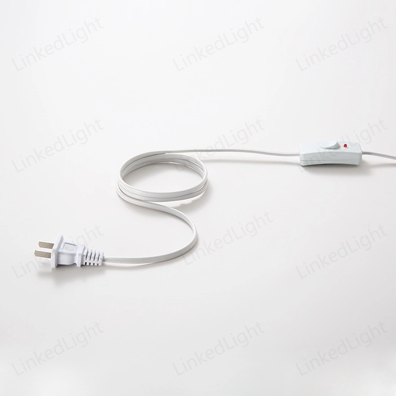 Chinese CCC Power Electric Plug Lighting Lamp Cord with Switch Supplier