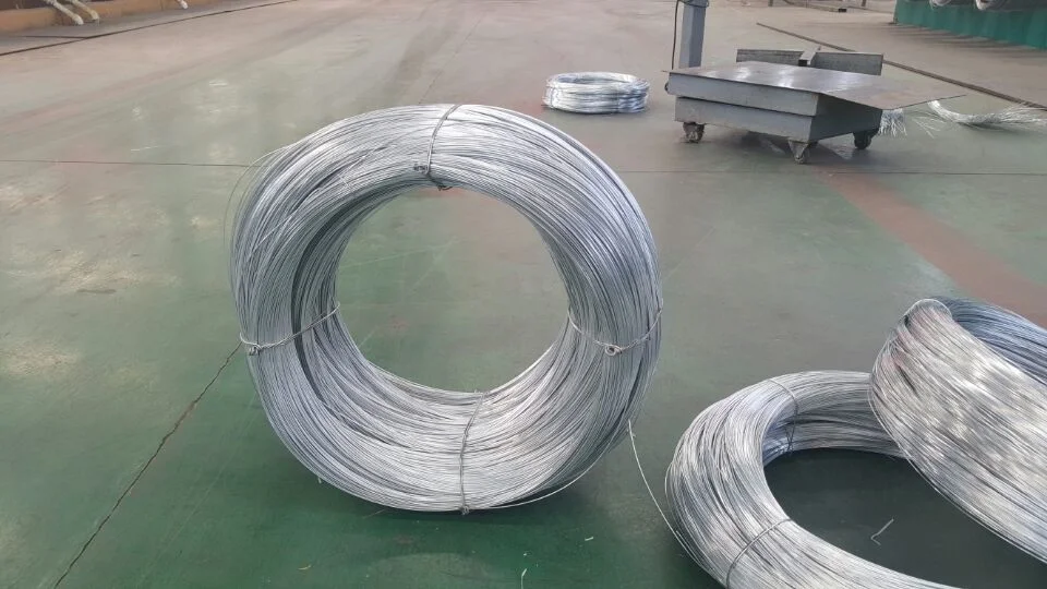 Galvanized Binding Wire (BWG22) with Lowest Prices and Top Quality