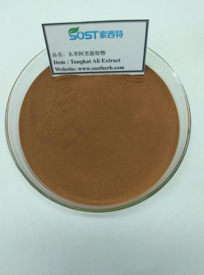 Best Selling EU Organic Powder Tongkat Ali Extract 200:1 from Malaysia