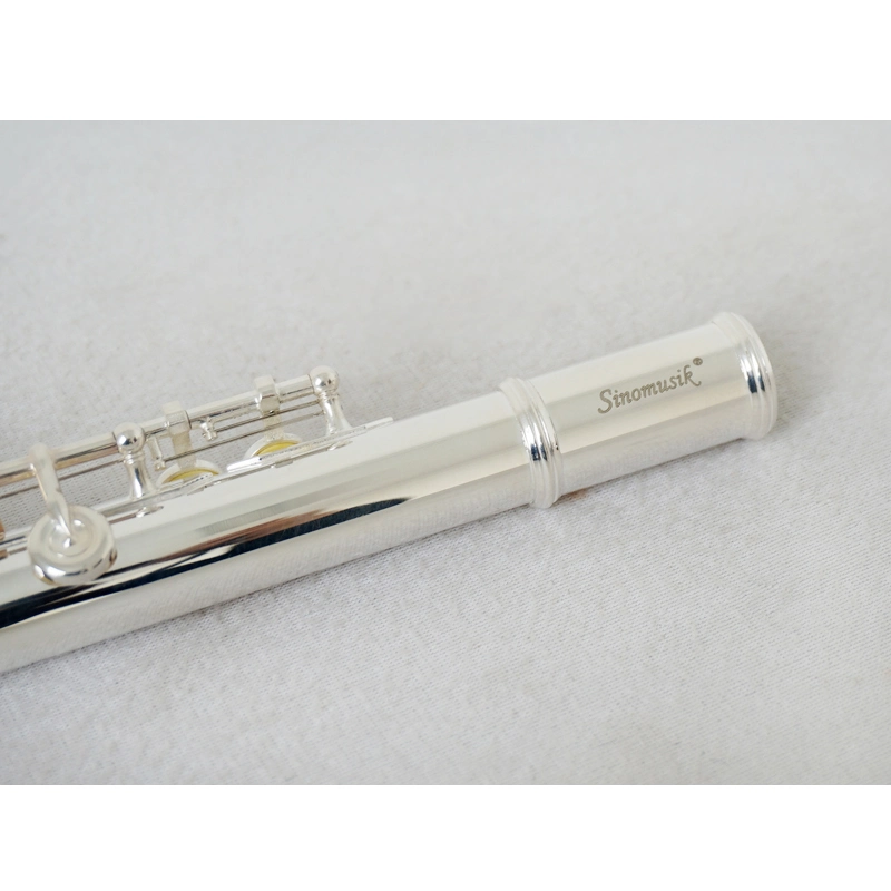 Wholesale/Supplier Price Custom Brand Nickel Finish 17 Holes Flute Brass Instrument