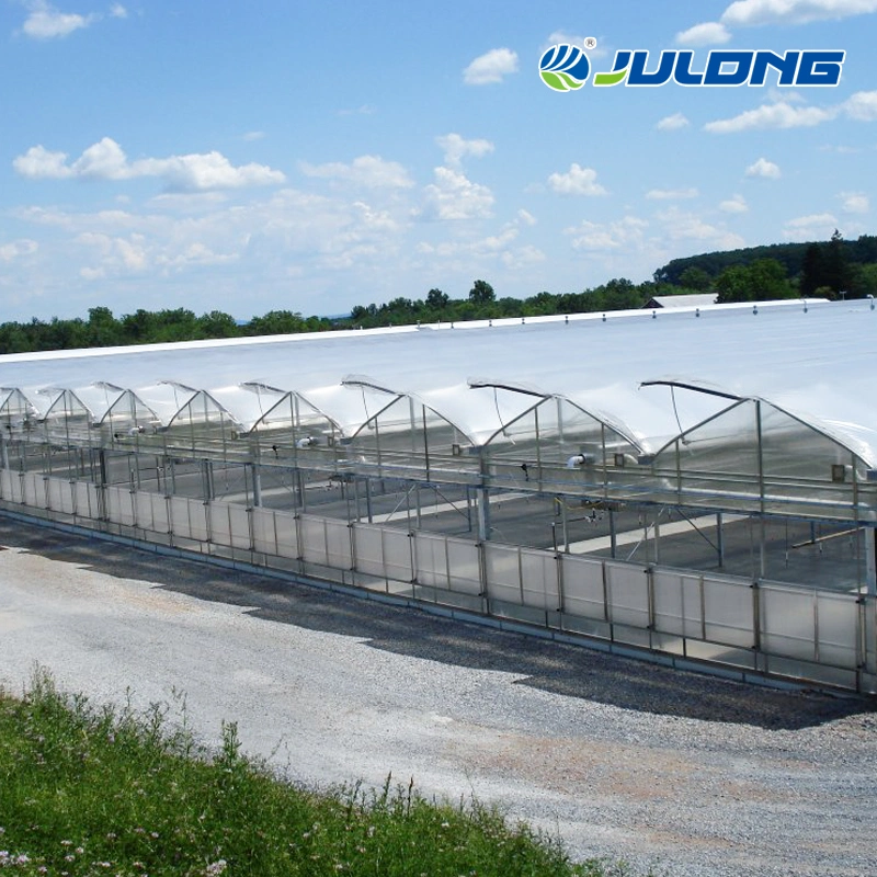 China Agriculture Polycatbonate Greenhouse for Vegetables