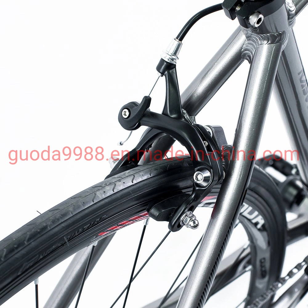 China Wholesale/Supplier 700c Al Frame Road Bike with Disc Brake