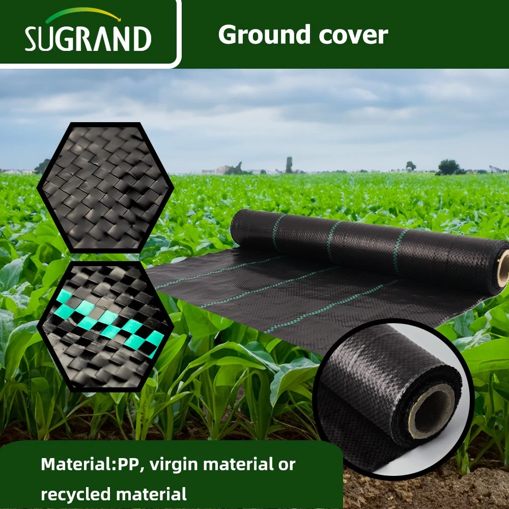 Attractive Design Heavy-Duty Plastic Ground Cover for Agriculture Protection for Park