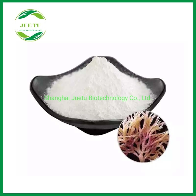 Wholesale/Supplier Food Additive Food Grade Kappa Carrageenan Powder