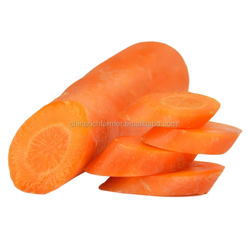 Chine 2023 Carrot frais grossistes