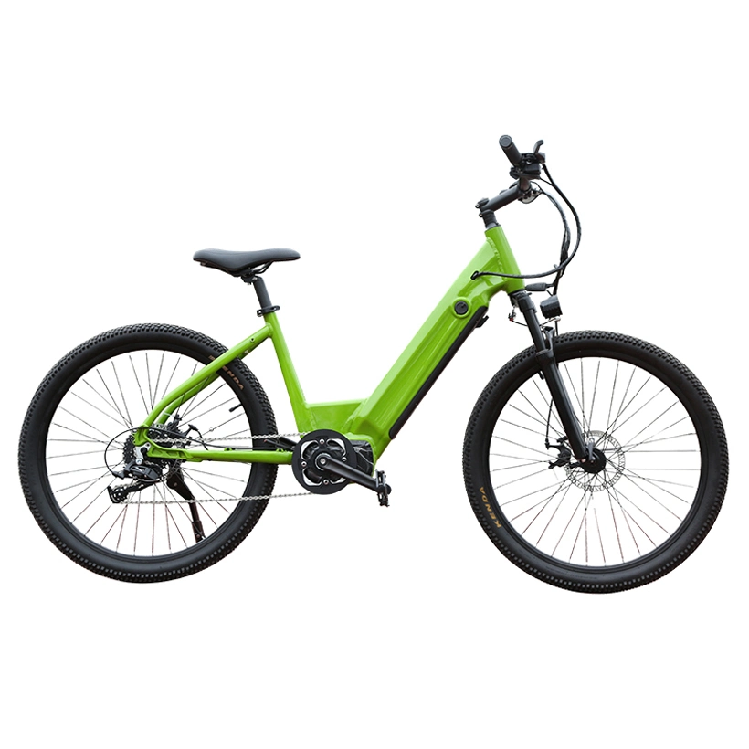 Brushless 350W Utility Ebike Mountain Bikes E Bicycle for Men Electric Bike