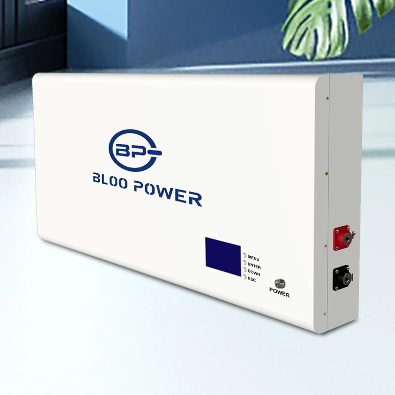 Bloopower 400ah 500ah LiFePO4 Lithium Charger for Wall System 5.12kwh Electric BMS Chargers House Supply at Home on Grid Storage Battery