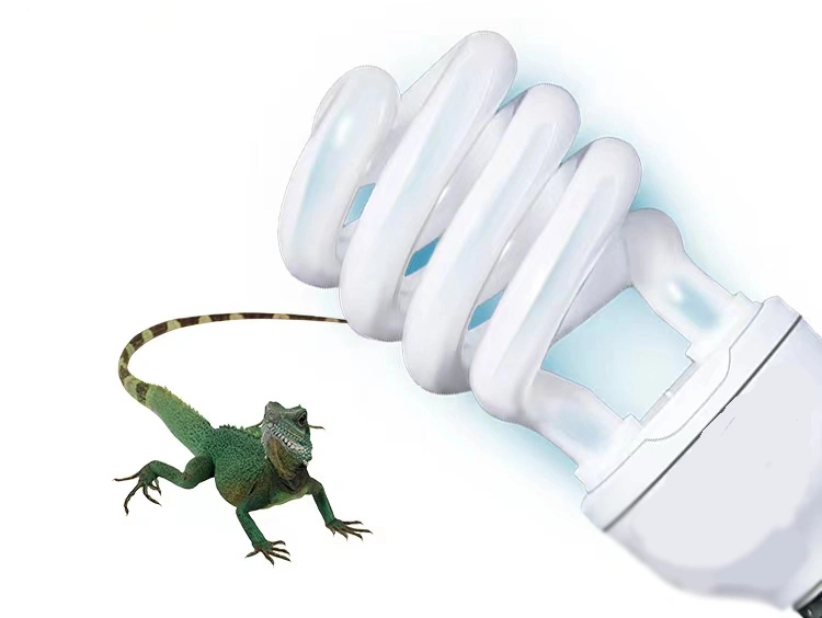 Energy Saving Pet Lamps/Bulb Spiral 13/26W UVB 5.0/10.0 Reptile Lighting