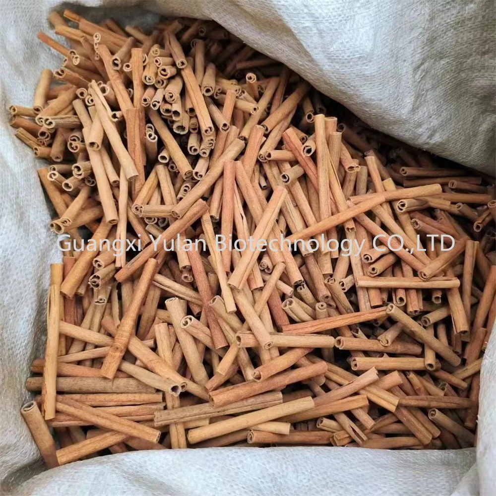 New Fresh Natural Dry Cinnamon Sticks Factory Supply