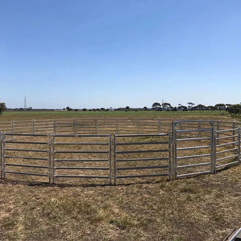 Las Ventas de Campo ganadero de metal caliente cerca de la granja de ganado ovino de la puerta de la vaca o cabra caballo