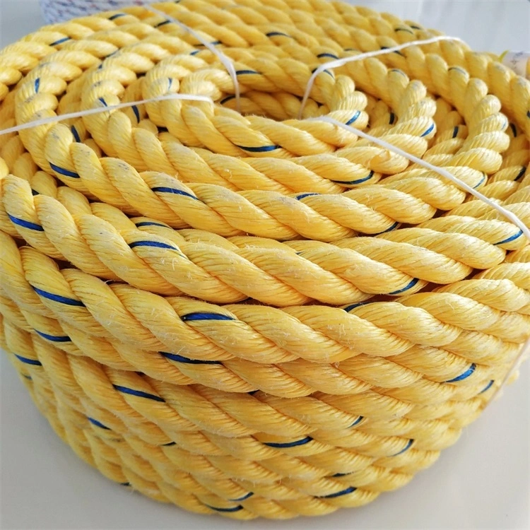 PP Danline Rope Plastic Rope with High Quality