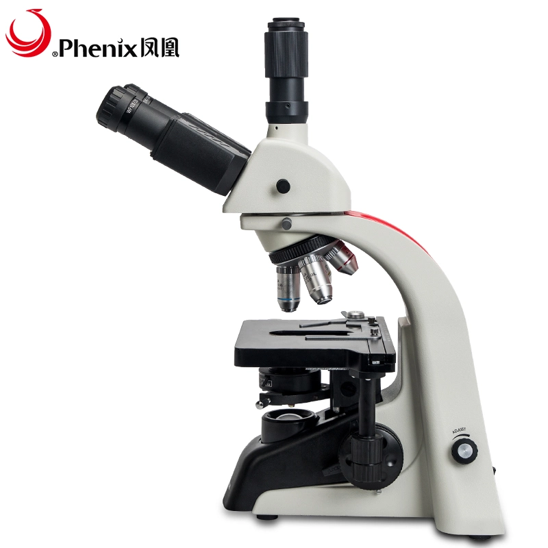 Popular 40X-1600X Trinocular Laboratory Biological Microscope with Camera TV Tube pH100-3A41L-Ep