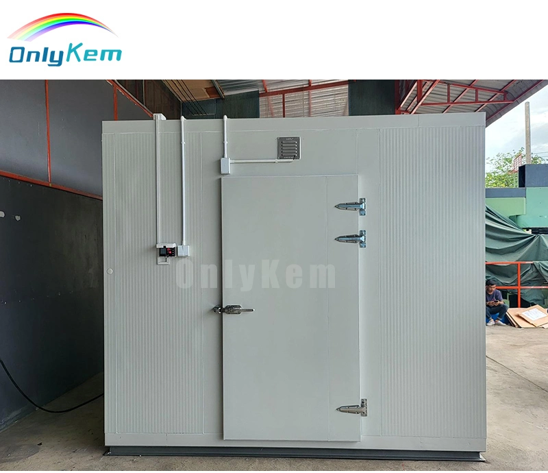 ONLYKEM congelador / Chiller / Sala de freezer / Sala Fria armazenamento para armazenar vegetais e frutas